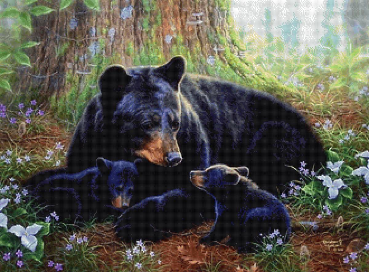 Семья - животные, медведи, лес - предпросмотр