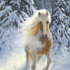 Схема вышивки «Лошадь в снежном лесу»