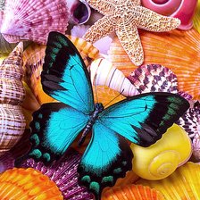 Схема вышивки «Бабочка и ракушки»