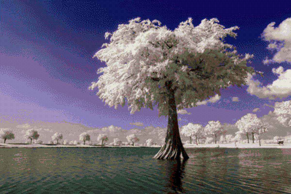 Белое дерево - дерево - предпросмотр