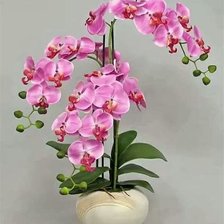 Оригинал схемы вышивки «розовая орхидея» (№2670911)