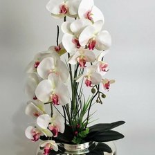 Оригинал схемы вышивки «белая скрасным орхидея в металле» (№2670914)