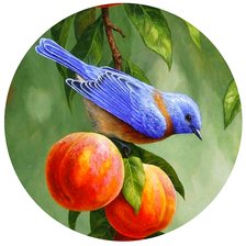 Оригинал схемы вышивки «Птица на персиках» (№2672272)
