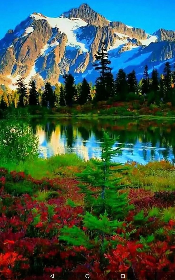 Озеро в горах - озеро, горы, цветы - оригинал