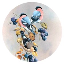 Оригинал схемы вышивки «Птицы» (№2674063)
