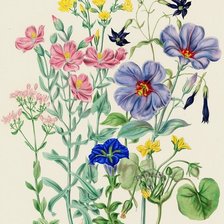 Оригинал схемы вышивки «цветы» (№2681452)