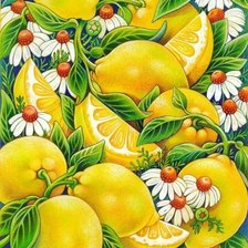 Схема вышивки «лимоны и ромашки»