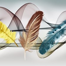 Оригинал схемы вышивки «Парящие перья» (№2683930)
