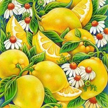 Схема вышивки «лимоны и ромашки»