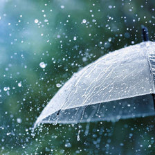 зонт, дождь