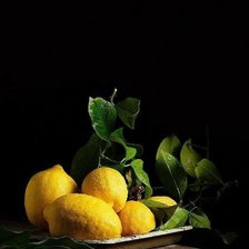Оригинал схемы вышивки «Лимоны» (№2689129)