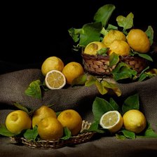 Оригинал схемы вышивки «Натюрморт из лимонов» (№2689134)