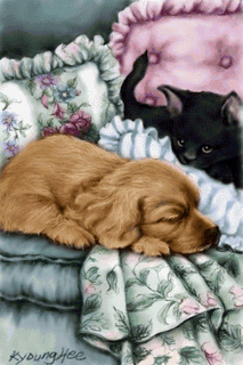 Домашние любимцы - щенок, домашние животные, котенок - предпросмотр