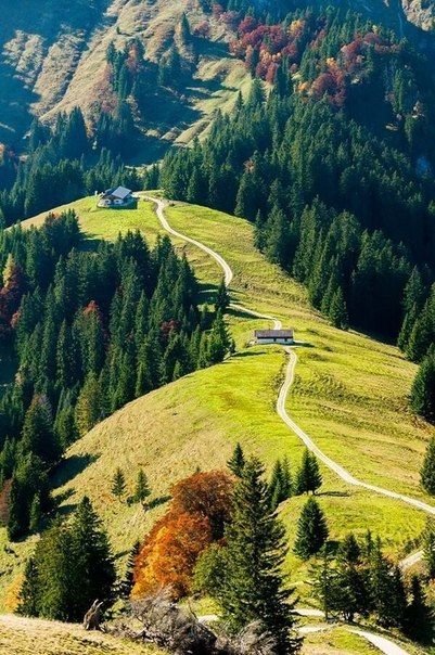 Горы в Баварии - бавария, пейзаж, природа, домик, горы, лес - оригинал