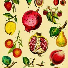 Схема вышивки «frutas»