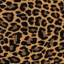 Схема вышивки «Шкура ягуара»