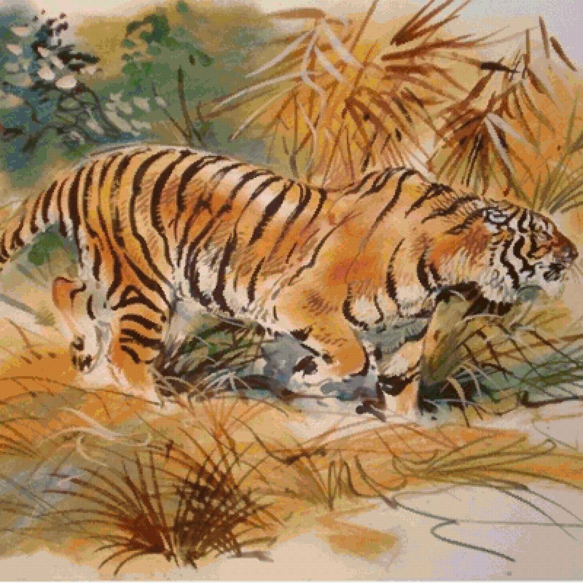 Тигр - тигр, дикие кошки, животные - предпросмотр