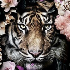 Схема вышивки «Тигр в цветах»