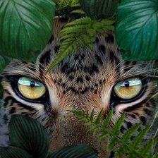 Оригинал схемы вышивки «Глаза в джунглях» (№2725459)