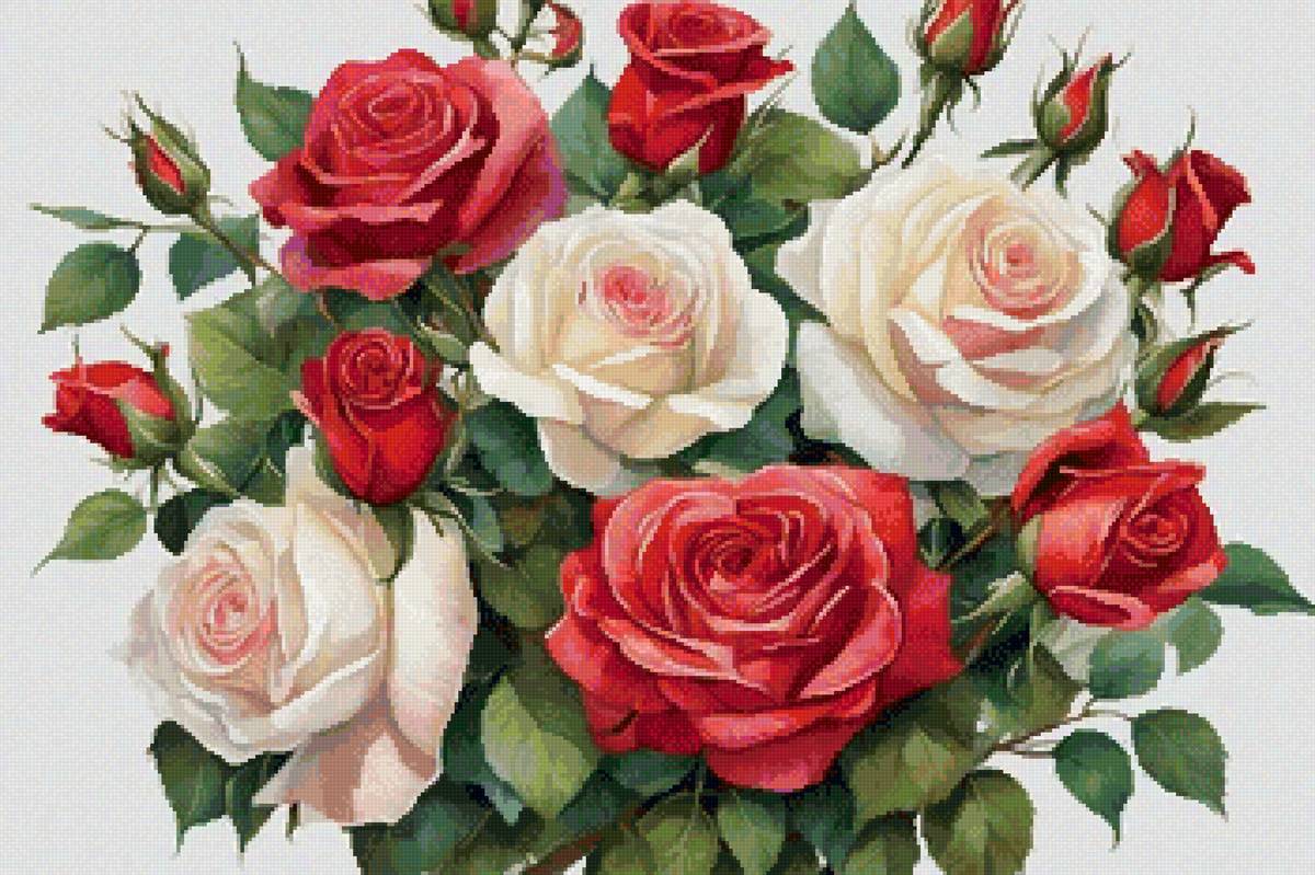 Букет роз - букет, розы, цветы - предпросмотр