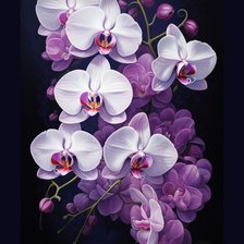 Оригинал схемы вышивки «Орхидея» (№2746598)