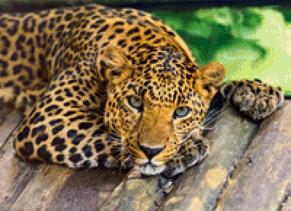 Отдых леопарда - животные - предпросмотр