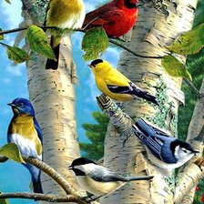 Схема вышивки «птицы на дереве»