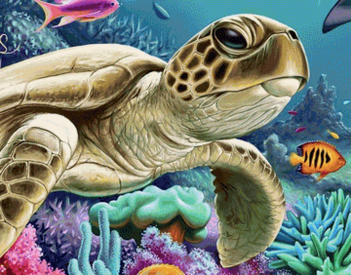 морской мир - подводный мир, черепаха, море - предпросмотр