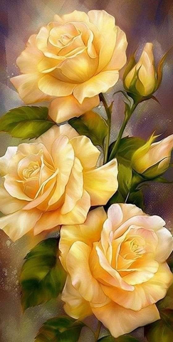 Желтые розы - цветы, розы - оригинал
