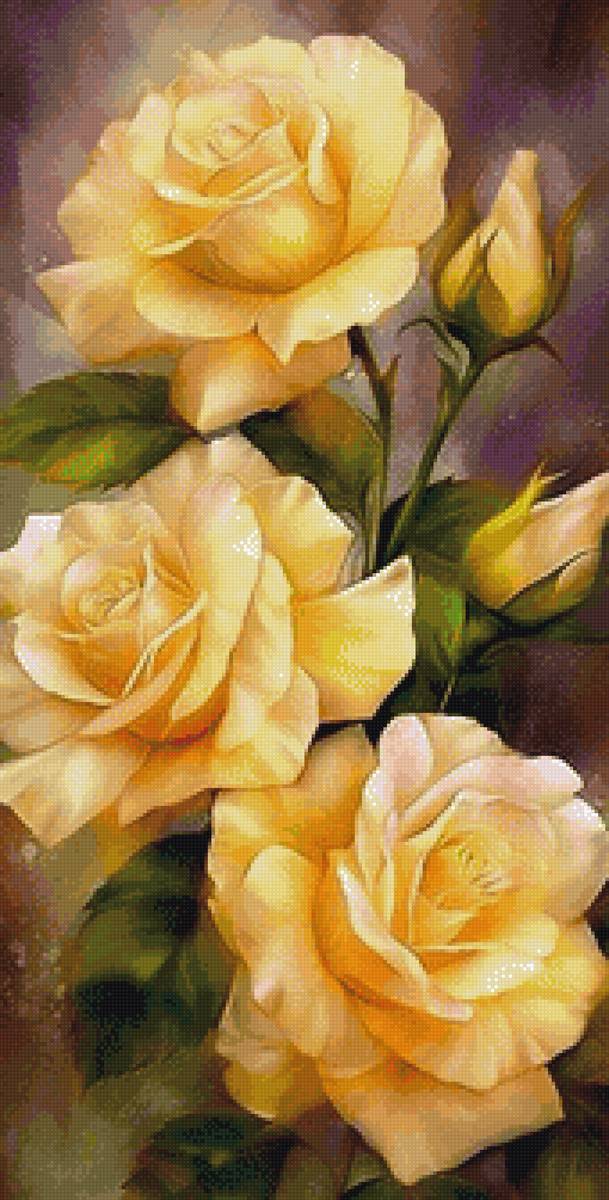 Желтые розы - розы, цветы - предпросмотр