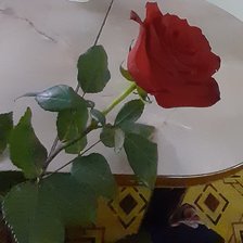 Роза на столе