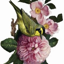 Оригинал схемы вышивки «bird con flores» (№2776537)