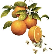 Схема вышивки «naranjas»