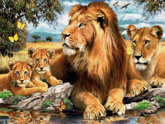 Этап процесса «Семейство львов (львиное семейство на отдыхе)»