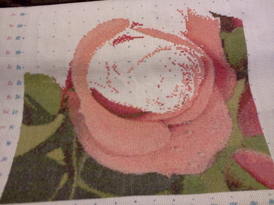 Этап процесса «ГК 450 Розовая роза»