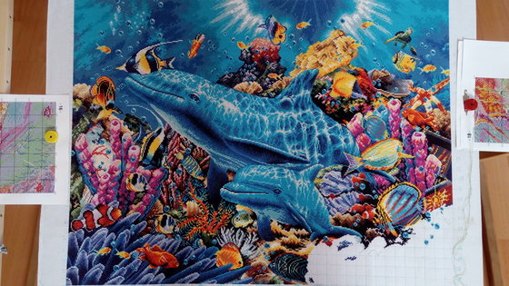 Этап процесса «Дельфины в океане по набору Dome»