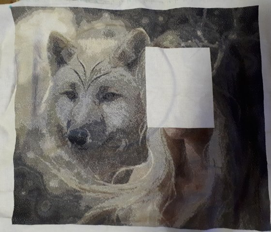 Этап процесса «Девушка и белый волк»