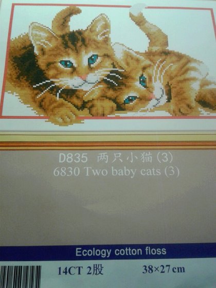 Этап процесса «два котика»