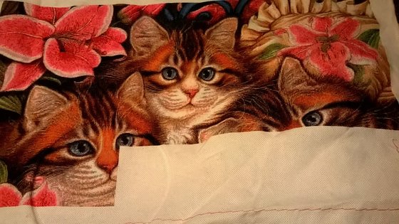 Этап процесса «Три пушистых котёнка»