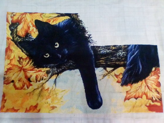 Этап процесса «Осенний котик. Автор схемы: Наталья Пышнограева»