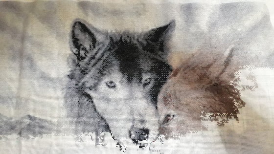 Этап процесса «"Волки" от вышивай.ру»