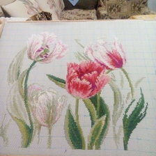 Процесс «Весенние тюльпаны»