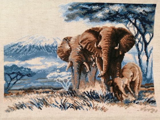 Этап процесса «Слоны в Саванне»
