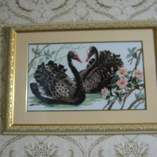 Работа «черные лебеди от риолиса»