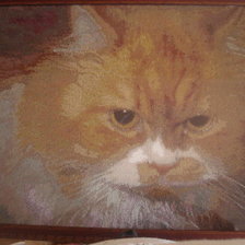 Работа «Любимец»