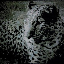 Работа «леопард 2»