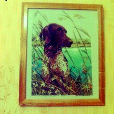 Работа «верный друг»