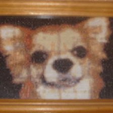 Работа «Чихуахуа»