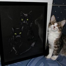 Работа «№1875»