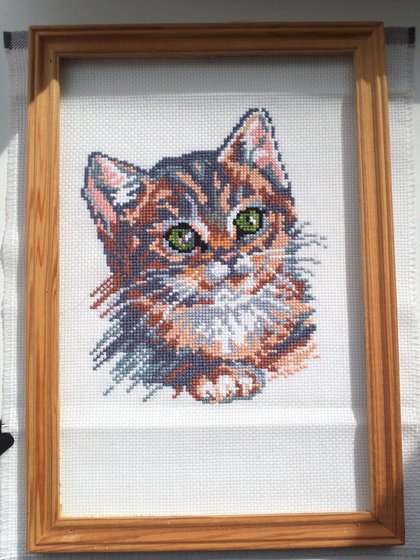 Работа «котик»